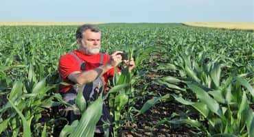 Beyond Collection: Cleanfarms 2024 Annual Report Showcases Impactful Innovation through Partnerships in Ag Sustainability