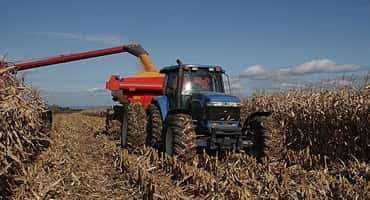 Crop Report for the Period May 13 to May 19, 2025