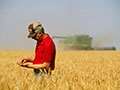 Video: Meet the farmer