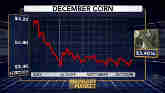 IPTV M2M, Market Analyst Naomi Blohm